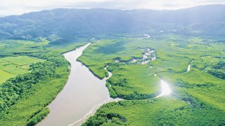 世界自然遺産に登録された西表島。島の9割が亜熱帯の原生林に覆われている。仲間川には河口にかけて日本最大規模158㌶のマングローブ林が広がる＝6月11日、西表島仲間川