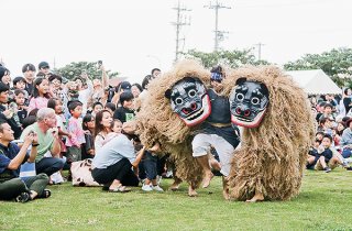 八重山青年芸能フェスティバルで披露された白保青年会の獅子舞。会場には多くの観客が訪れ、多彩な演目を楽しんだ＝23日午後、真栄里公園