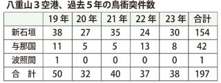 八重山３空港、過去５年の鳥衝突件数