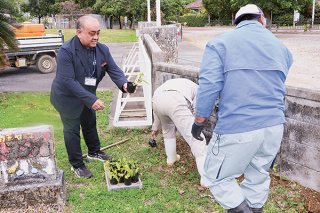 学校敷地内にピパーツの苗を植える関係者ら＝28日午後、伊野田小学校